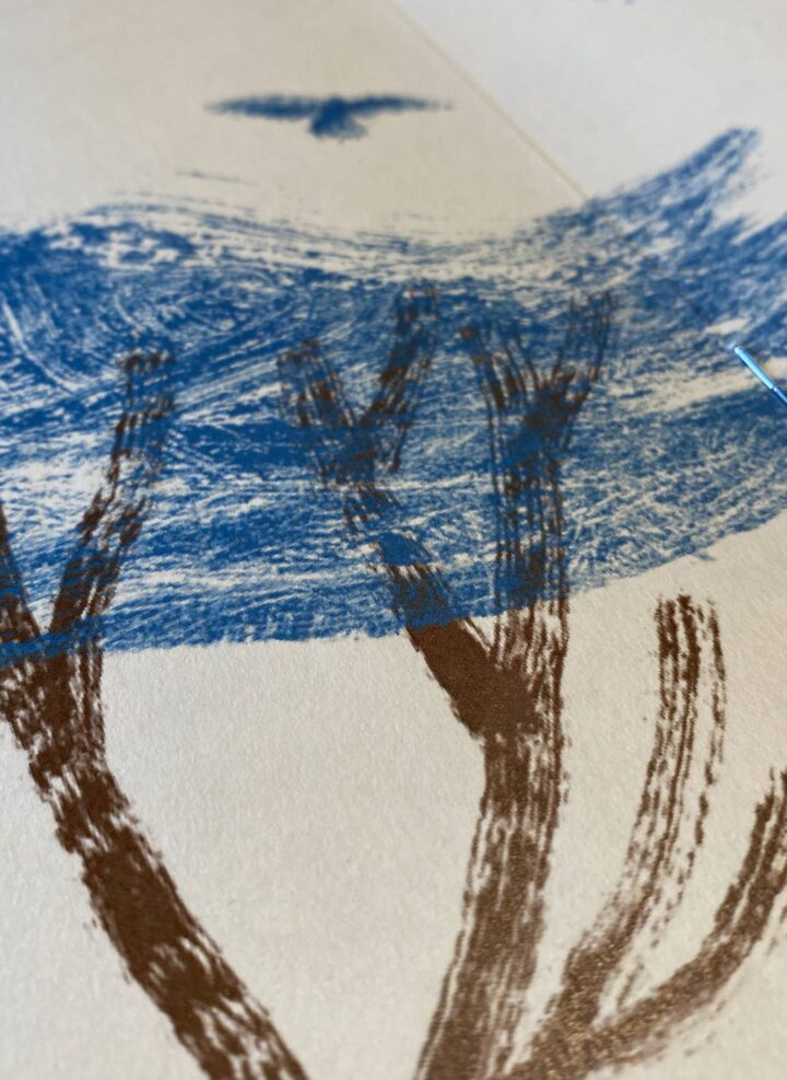 <em>Microeditoria 2022</em><br> Enrica Recalcati