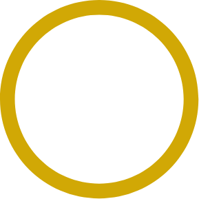 Aruspice